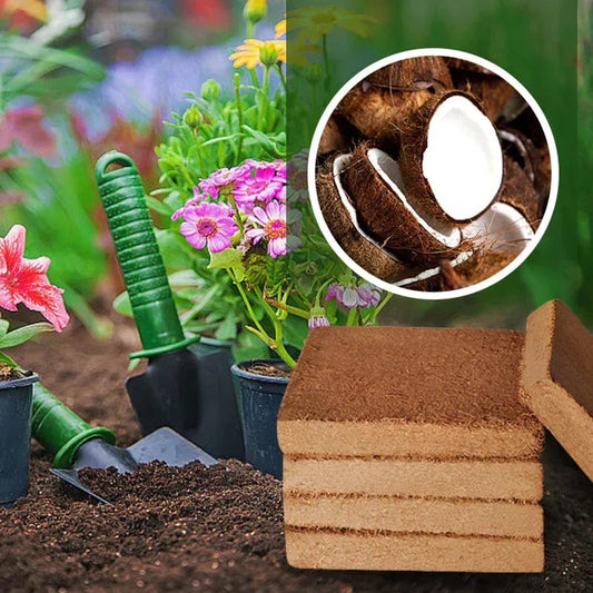 Premium Organic Coconut Coir Bricks For Plants