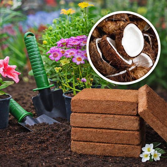 🌱 Grow Stronger, Healthier Plants in Any Soil — 100% Organic Coconut Coir That Boosts Growth & Prevents Root Problems